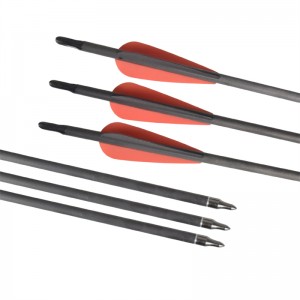Elong Outdoor 113024 ID6.2mm SP400 koolstofvezel pijl boogschieten outdoor schietsport