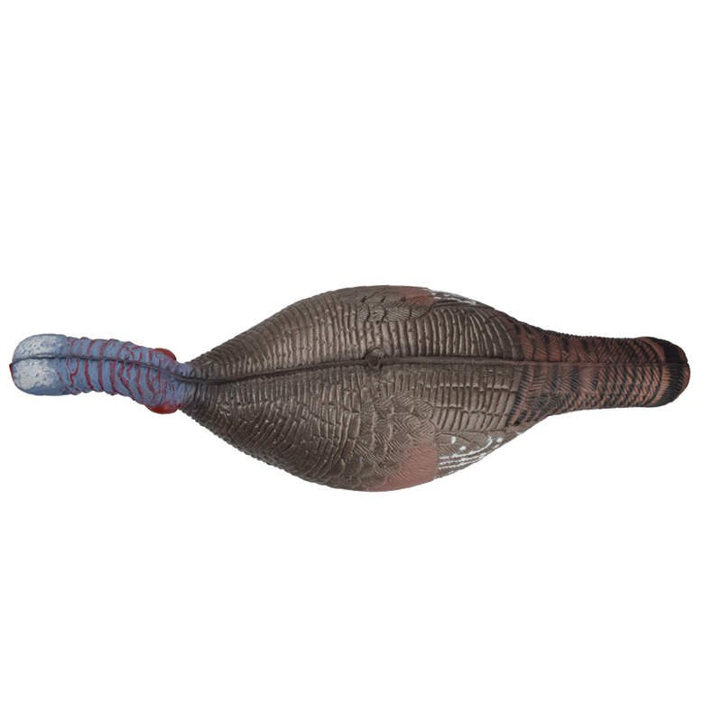 1631673751.jpg 41T3D2 公鸡 (5).jpg